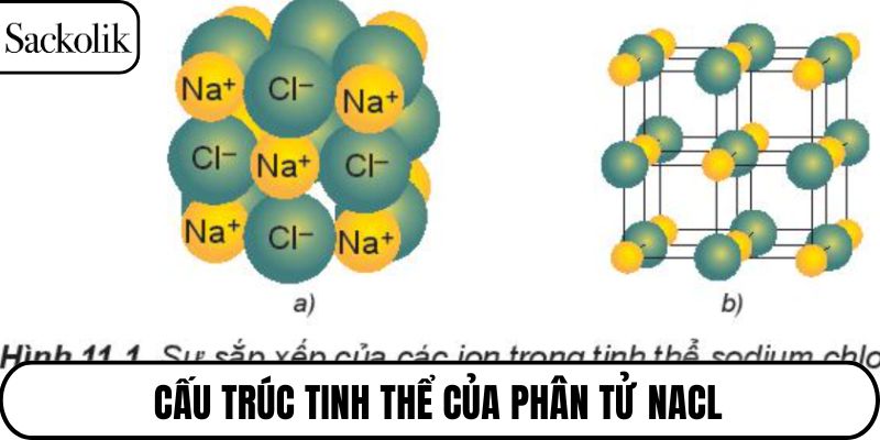 Cấu trúc tinh thể của phân tử NaCl