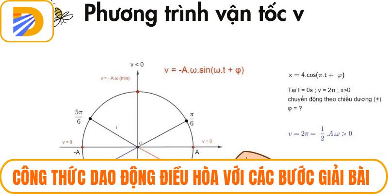 Công Thức Dao Động Điều Hòa Với Các Bước Giải Bài Tập Nhanh