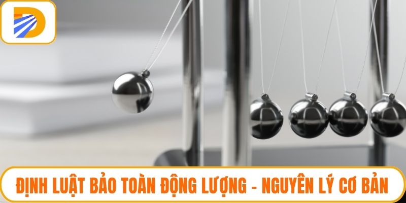 Định Luật Bảo Toàn Động Lượng - Nguyên Lý Cơ Bản Trong Vật Lý