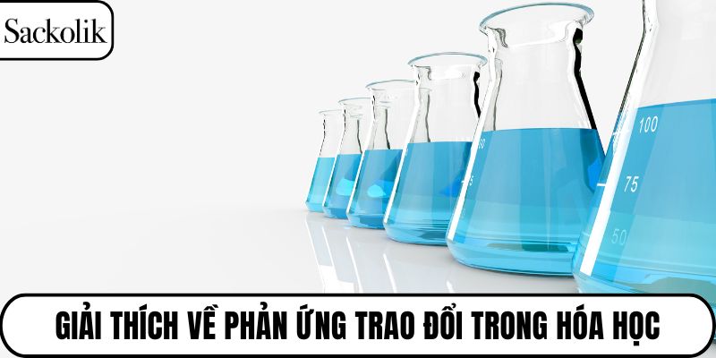 Giải thích về phản ứng trao đổi trong hóa học
