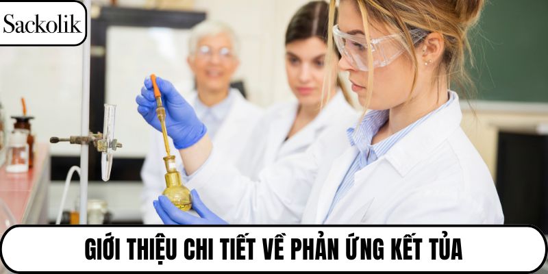 Giới thiệu chi tiết về phản ứng kết tủa