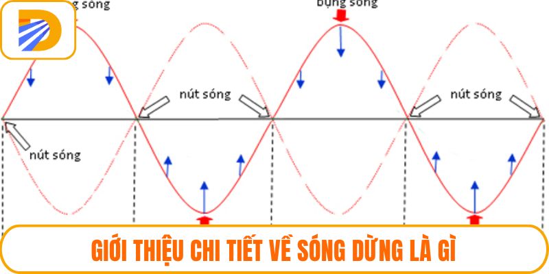 Giới thiệu chi tiết về sóng dừng là gì