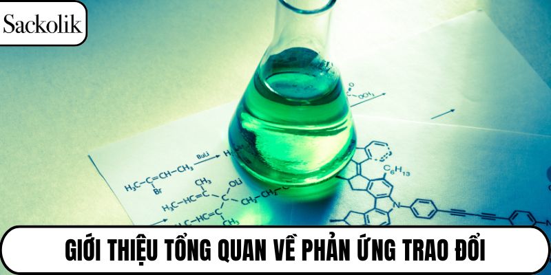Giới thiệu tổng quan về phản ứng trao đổi