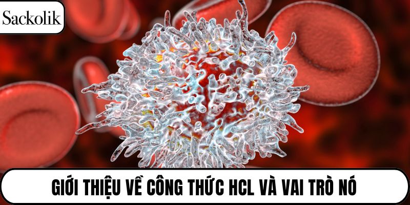 Giới thiệu về công thức HCl và vai trò nó