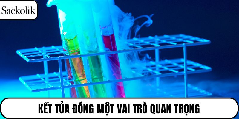 Kết tủa đóng một vai trò quan trọng