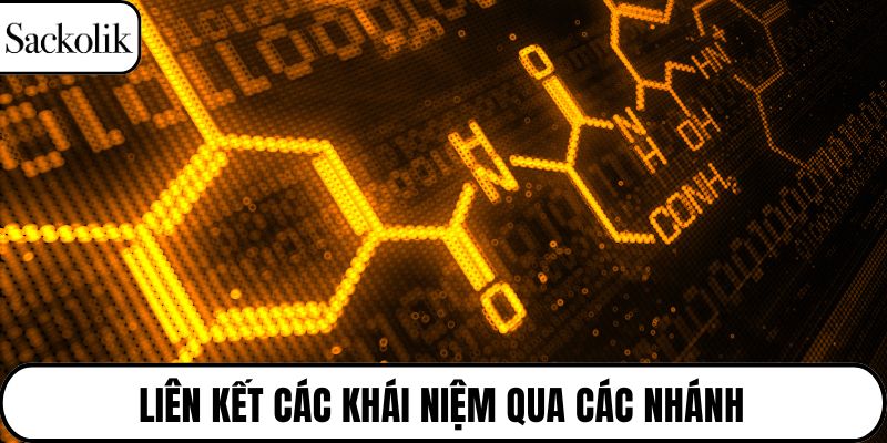 Liên kết các khái niệm qua các nhánh