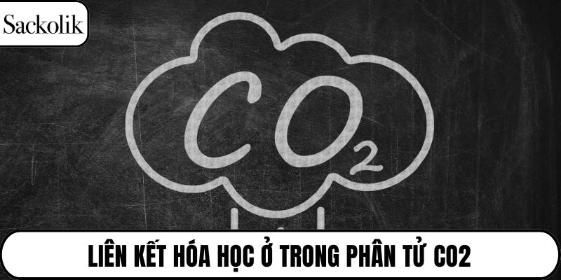 Liên kết hóa học ở trong phân tử CO2