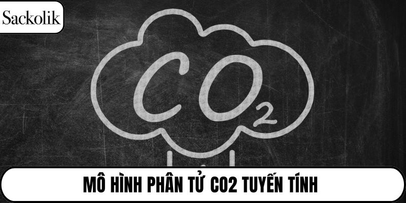 Mô hình phân tử CO2 tuyến tính