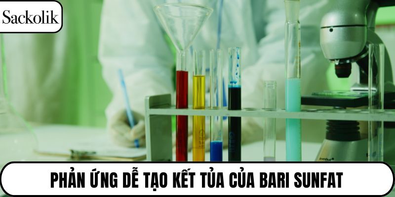 Phản ứng dễ tạo kết tủa của bari sunfat