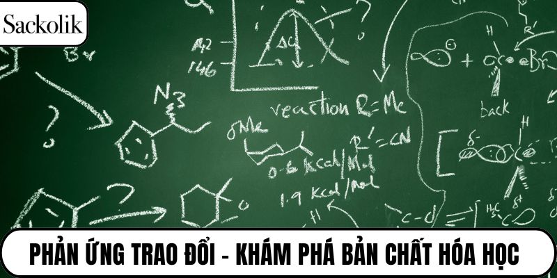 Phản ứng trao đổi