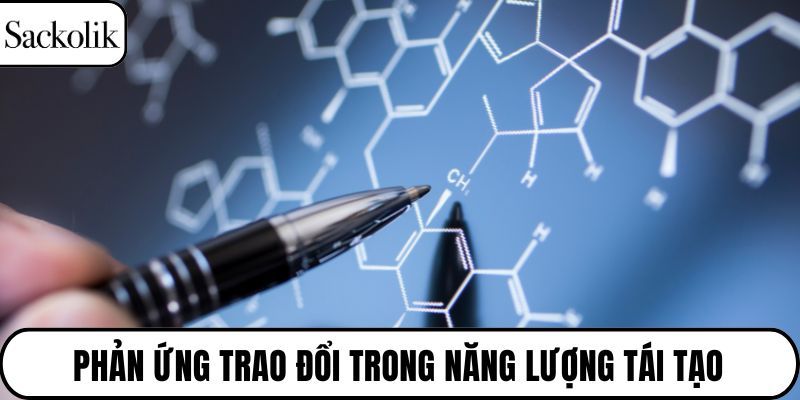 Phản ứng trao đổi trong năng lượng tái tạo