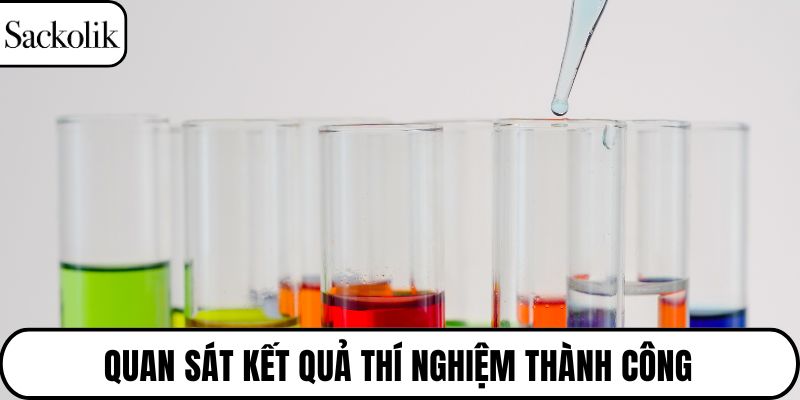 Quan sát kết quả thí nghiệm thành công