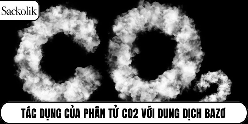 Tác dụng của phân tử CO2 với dung dịch bazơ