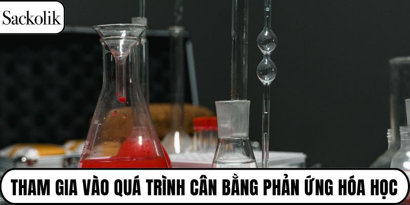 Tham gia vào quá trình cân bằng phản ứng hóa học