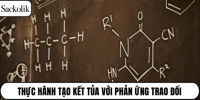 Thực hành tạo kết tủa với phản ứng trao đổi