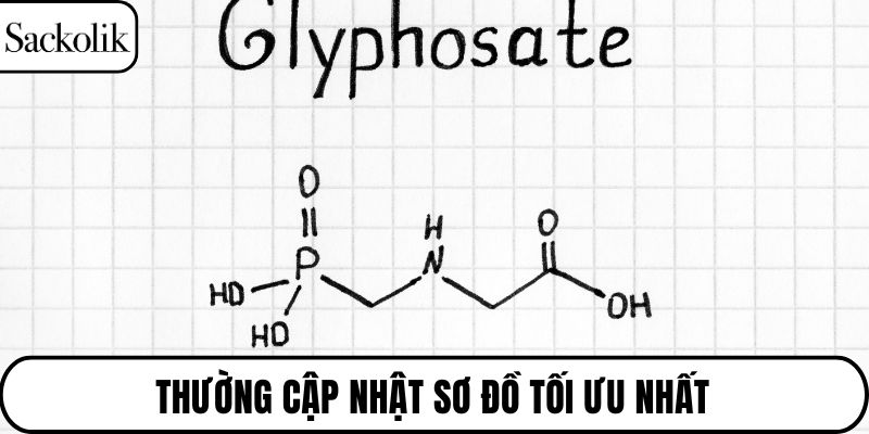 Thường cập nhật sơ đồ tối ưu nhất