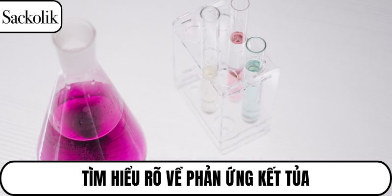Tìm hiểu rõ về phản ứng kết tủa