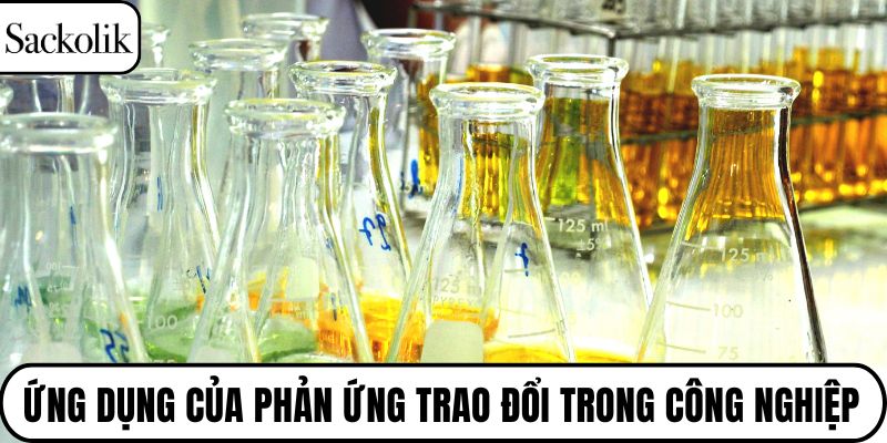 Ứng dụng của phản ứng trao đổi trong công nghiệp